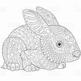 Mandala Hase Malvorlage Hare Stylized Zentangle Doodle sketch template