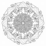 Mandala Mushroom Vector Premium sketch template