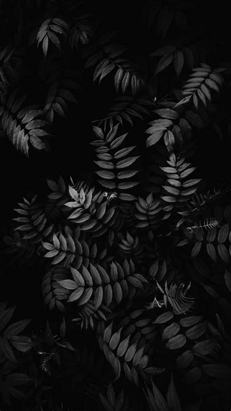 black leaf darkness pattern branch botany wallpaper iphone hitam