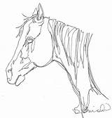 Drawing Line Continuous Horse Contour Head Drawings Animals Debbie Blind Animal 그림 Cliparts Sketch Template Lincoln Grayson Getdrawings 드로잉 Nowornever sketch template