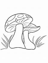 Mushrooms Coloringcrew Poisonous sketch template
