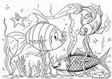 Coloring Fishes Pages sketch template