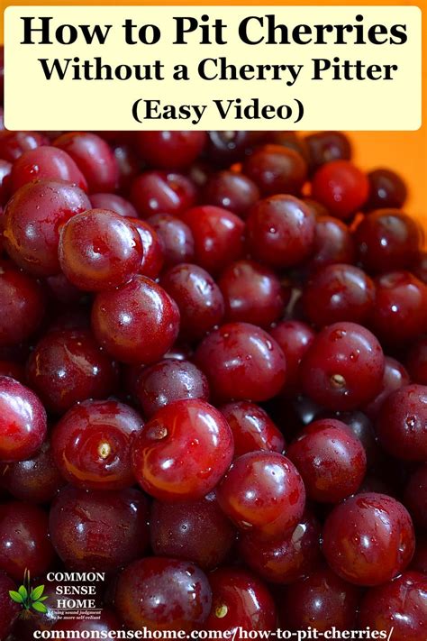 pit cherries   cherry pitter easy video