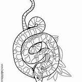 Serpiente Boa Hellokids Cascabel Cobra Reptiles Sibon Totem Animales Albina sketch template