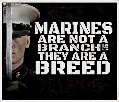 marines marine corps quotes marine quotes usmc quotes
