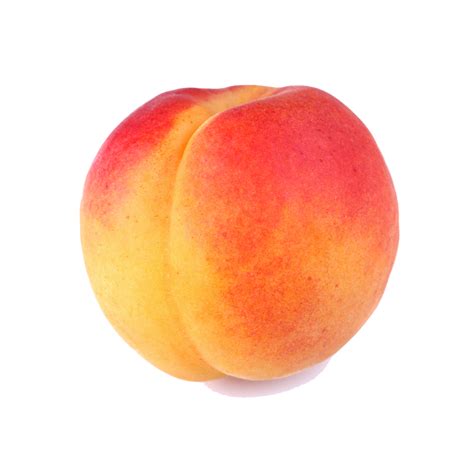 peach png transparent images png