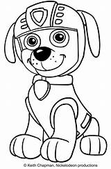 Paw Patrol Zuma Coloring Printable Sitting Happy Cartonionline sketch template