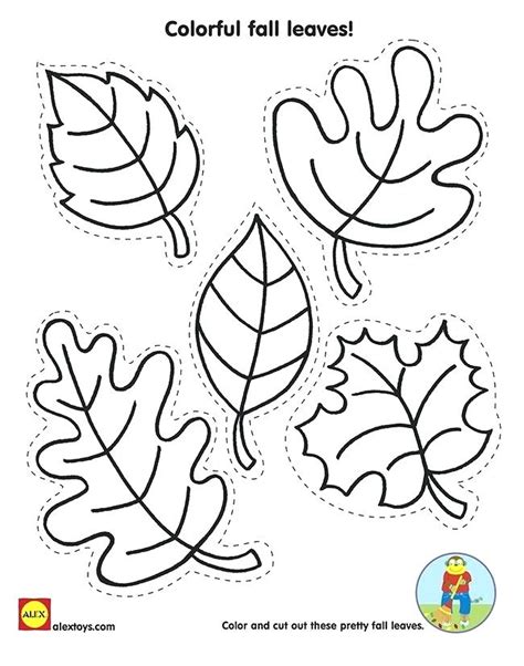 fall leaves coloring pages  kindergarten  getcoloringscom