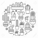 Cactus Potted Drawing Clip Getdrawings sketch template