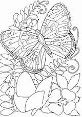 Coloring Butterfly Flowers Pages Flower Butterflies Kids Color Among Printable Adult Sheets Adults Hard Insects Print Super Supercoloring Buckeye Drawing sketch template