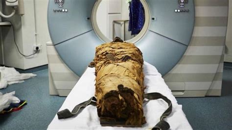 Pregnant Egyptian Mummy Revealed By Scientists Bbc News