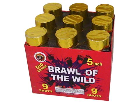 brawl   wild  shot great grizzly  brown
