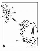 Frog Coloring Fly Catching Pages Cartoon Jr Woojr Kids Animal Gif Frogs Drawing sketch template