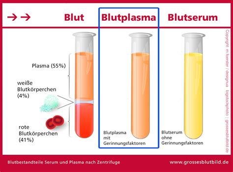 blutplasma dr stephan