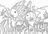 Fish Rainbow Coloring Pages Printable Everfreecoloring sketch template
