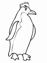 Penguin Coloring Pages Macaroni Penguins Printable Outline King Pittsburgh Color Clipart Drawing Chinstrap Clipartbest Super Getcolorings Getdrawings Print sketch template