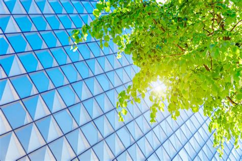 green building stock  pictures royalty  images istock
