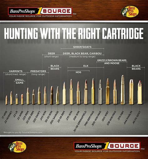 Handgun Caliber Chart Gallery Of Chart 2019 09e