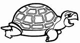 Colorear Tortugas Tortuga Marinas Terrestres Mar Acuaticos Gratistodo Reptil sketch template