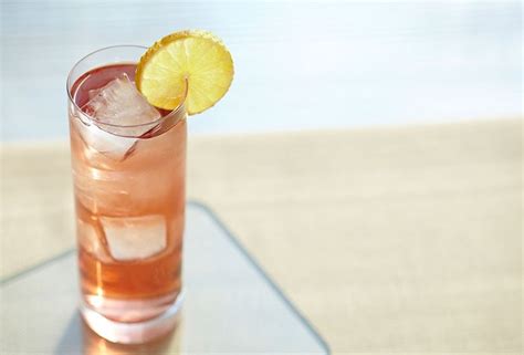 Receta Cranberry Drinks Drinks With Cranberry Juice Gin And Lemonade