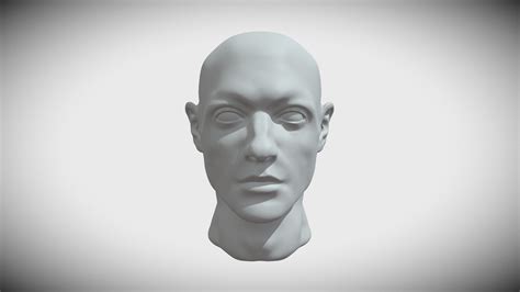 male head download free 3d model by toods mistooder [fa187c4