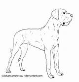 Coloring Dane Great Deviantart Line Dog Pages Drawing Lineart Drawings Dogs sketch template