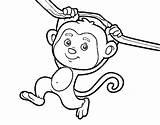 Monkey Hanging Coloring Branch Colorear sketch template