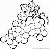 Grapes Coloring Pages Printable Grape Color Fruits Food sketch template