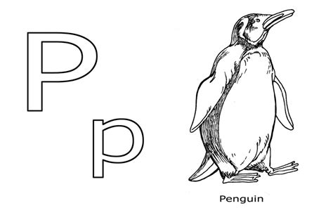 penguin coloring page photo animal place