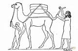 Colorir Dromadaire Egito Antigo Camelo sketch template