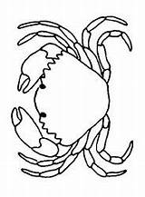 Colorat Raci Animale Crabs P13 Planse Coloring Crab Desene Primiiani Cangrejo Vizite Voturi Plansa Acoloringbook sketch template