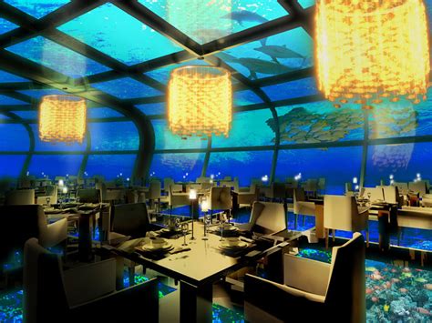 los mejores restaurantes de cancun las mejores playas en el mundo