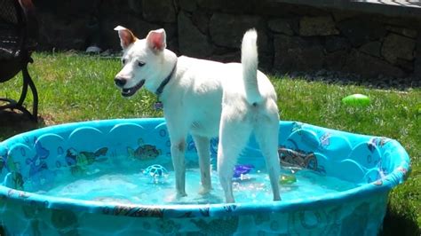 abby in the pool youtube