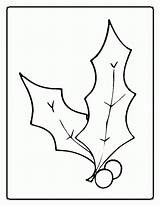 Coloring Pages Christmas Holly Printable Popular sketch template