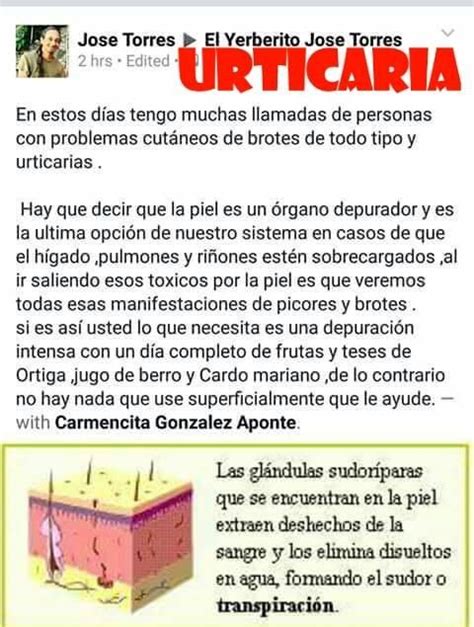 Pin By Ary L On Yerberito JosÉ Torres Diy Projects To