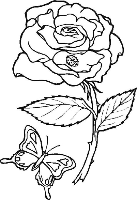 coloring pages  flowers rose flower  tattoo clipartsco