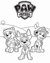 Patrol Paw Colorear Everest Canina Tracker Patrulla Pups Patrulha Colouring Wonder Psi Bojanke Skye Decoracion sketch template
