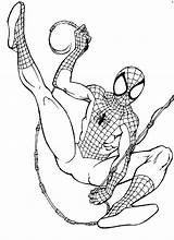Spiderman Pianetabambini Bacheca sketch template