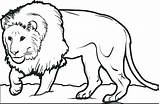 Lion Coloring Pages Baby Printable Drawing Print Male Colouring Kids Family Sheet Crown Colorings Getdrawings Color Realistic Cub Getcolorings sketch template
