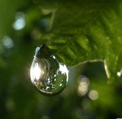 sun   raindrop picture  momvera  water droplets photography