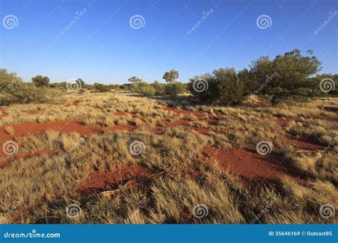 outback landscape australia editorial stock image image  beauty