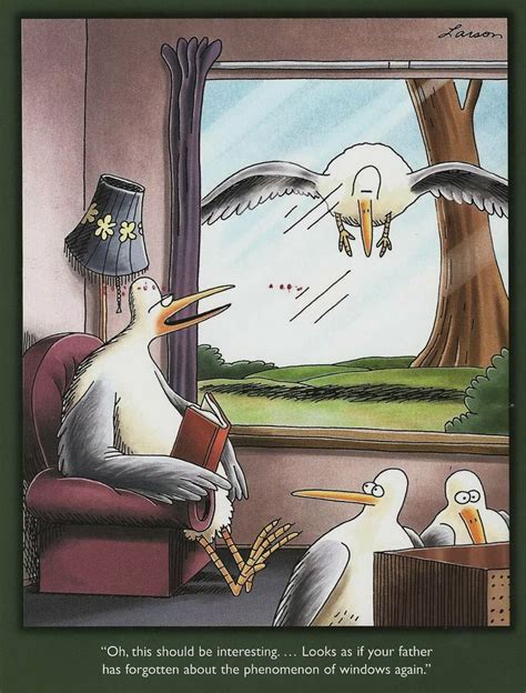 974 Best Gary Larson S Far Side Cartoons Images On Pinterest Humour