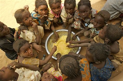 hunger  rising trend  africa   million africans  hungry