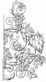 Coloring Grape Pages Exotic Vinnik Behance Adult Vines Absolut Irina Fruits Para Drawing Doodle Clip Fruit Drawings Artist Inspiration Pyrography sketch template