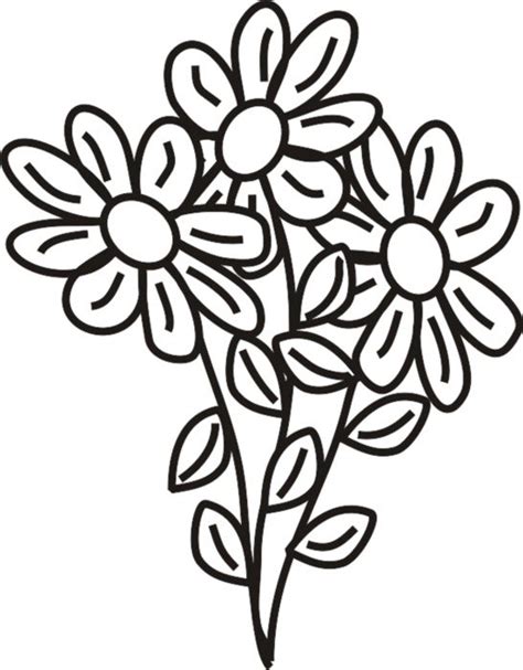 daisies flowers coloring pages drawing  image