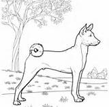 Coloring Pages Pomsky Dog Print Real Realistic Template Husky Kids sketch template