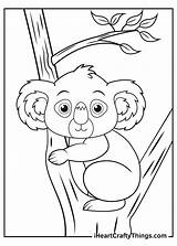 Koala Koalas Iheartcraftythings sketch template