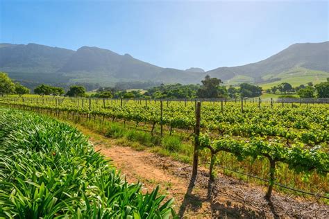 farmlands  south africa