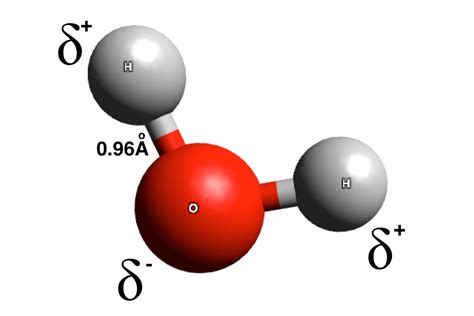 enlace covalente polar definicion  ejemplos curiosoando