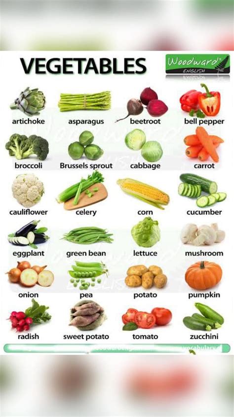 vegetables list list  vegetables fruits  vegetables list